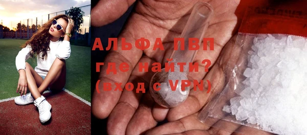 гидра Новодвинск